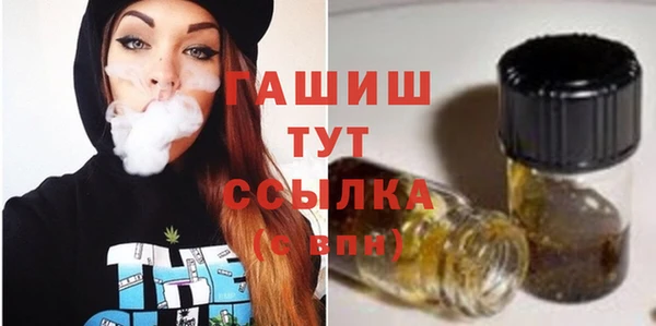 индика Вязники