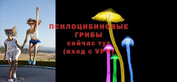 бошки Медвежьегорск