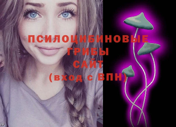 амф Медногорск
