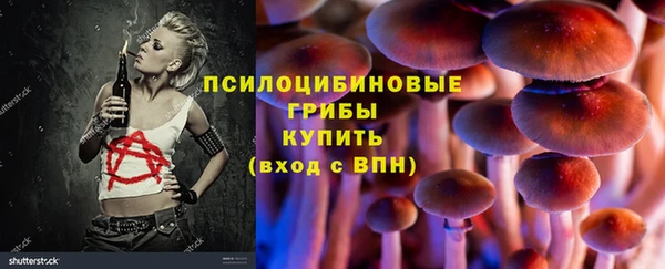 бошки Медвежьегорск