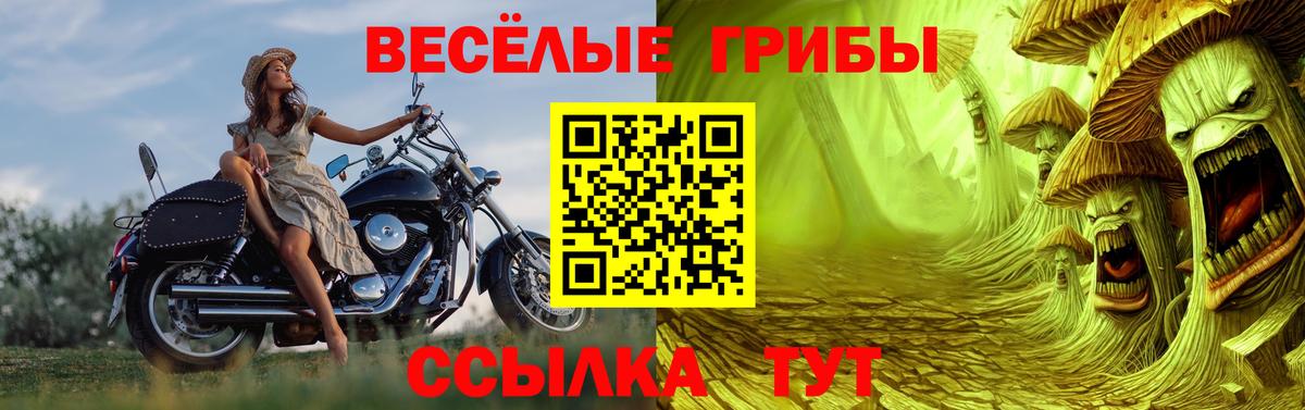 Галлюциногенные грибы MAGIC MUSHROOMS Москва